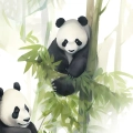 dla-dzieci-pandy-bambus-akwarela-plakat-fragment.webp