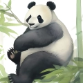 pandy-w-lasie-bambusowym-pokoj-dziecka-plakat-fragment.webp