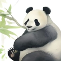 pandy-w-lasie-bambusowym-pokoj-dziecka-fragment.webp