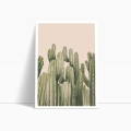 zestaw-plakatow-kaktusy-botaniczne-zielone-bez-bok2.webp