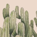 zestaw-plakatow-kaktusy-botaniczne-zielone-bez-fragment.webp