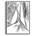 szkic-botaniczny-styl-skandynawski-plakat-czarna.webp