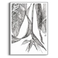 szkic-botaniczny-styl-skandynawski-plakat-srebrna.webp