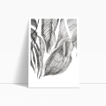 szkic-botaniczny-styl-skandynawski-plakat-bok.webp