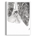 szkic-botaniczny-styl-skandynawski-plakat-biala.webp