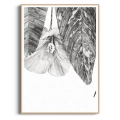 szkic-botaniczny-styl-skandynawski-plakat-drewno.webp