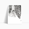 szkic-botaniczny-styl-skandynawski-plakat-bok.webp