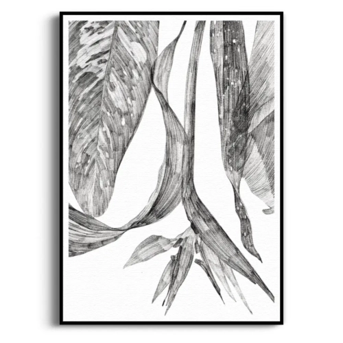 szkic-botaniczny-styl-skandynawski-plakat-czarna.webp