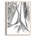szkic-botaniczny-styl-skandynawski-plakat-drewno.webp