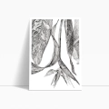 szkic-botaniczny-styl-skandynawski-plakat-bok.webp
