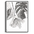szkic-botaniczny-styl-skandynawski-plakat-czarna.webp