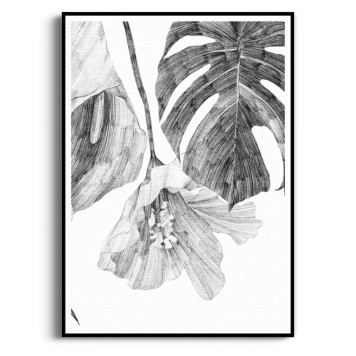 szkic-botaniczny-styl-skandynawski-plakat-czarna.webp