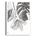 szkic-botaniczny-styl-skandynawski-plakat-biala.webp