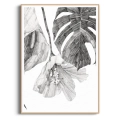 szkic-botaniczny-styl-skandynawski-plakat-drewno.webp