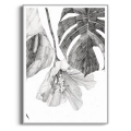 szkic-botaniczny-styl-skandynawski-plakat-srebrna.webp