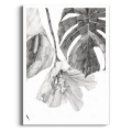szkic-botaniczny-styl-skandynawski-plakat-brak.webp
