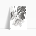 szkic-botaniczny-styl-skandynawski-plakat-bok.webp