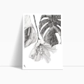 zestaw-plakatow-szkicowane-liscie-monstera-dyptyk-bok1.webp