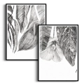 zestaw-plakatow-szkicowane-liscie-monstera-dyptyk-czarna.webp