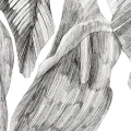 zestaw-plakatow-szkicowane-liscie-monstera-dyptyk-fragment.webp