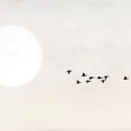 zestaw-2-plakatow-bambus-i-ptaki-japonia-bezowy-minimalistyczny-fragment.webp