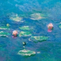 claude-monet-lilie-wodne-reprodukcja-plotno-fragment.webp