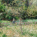 obraz-na-plotnie-camille-pissarro-poplars-eragny-reprodukcja-plotno-fragment.webp