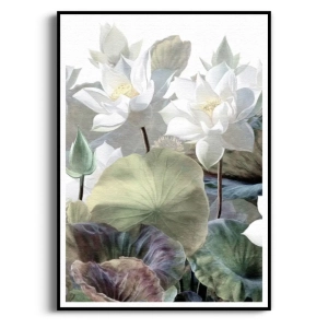 Plakat - Białe lilie wodne I - Do salonu i sypialni – zielono-biała grafika botaniczna w stylu japandi i boho 
