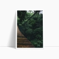 zestaw-plakatow-dyptyk-wiszacy-most-w-dzungli-bok1.webp