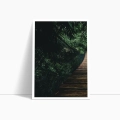 zestaw-plakatow-dyptyk-wiszacy-most-w-dzungli-bok2.webp
