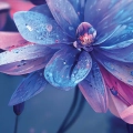 zestaw-2-plakatow-granatowo-rozowe-lilie-wodne-fragment.webp