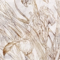 kwiaty-irysy-zloty-bezowy-boho-salon-sypialnia-plakat-fragment.webp