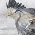 elegancka-czapla-nowoczesny-japandi-szaro-granatowy-plakat-fragment.webp