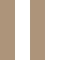 3-linie-ciemny-fragment.webp