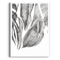 szkic-botaniczny-styl-skandynawski-plakat-biala.webp