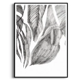 szkic-botaniczny-styl-skandynawski-plakat-czarna.webp