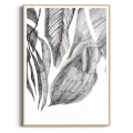 szkic-botaniczny-styl-skandynawski-plakat-drewno.webp