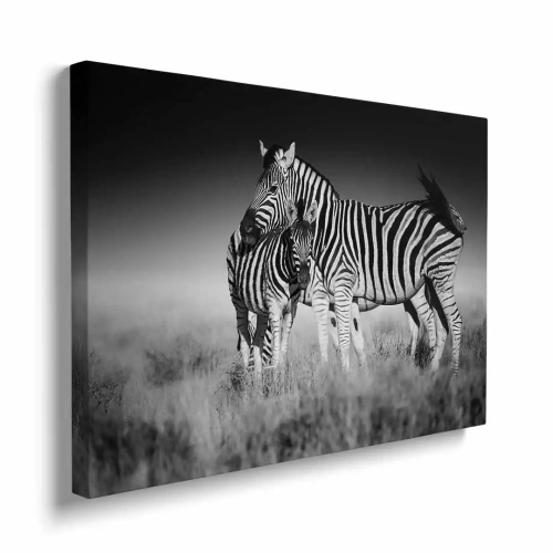 Obraz na płótnie duża zebra z małą bokiem