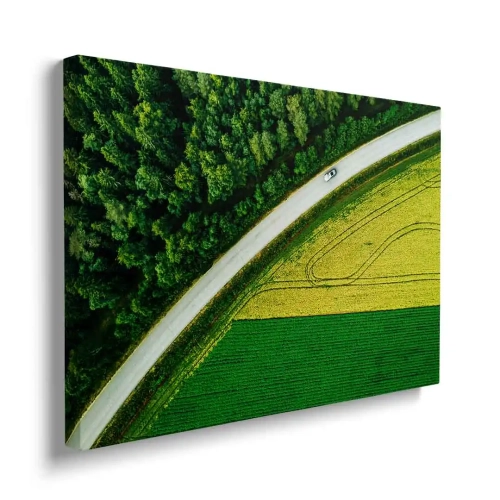 obraz-na -plotnie-zielona-trasa-z-lotu-ptaka-bok.webp