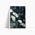 zestaw-2-plakatow-kwitnace-biale-kwiaty-do-salonu-minimalistyczny-bok1.webp