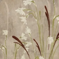 field-of-grasses-polne-kwiaty-trawy-akwarela-plakat-fragment.webp