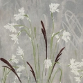 zestaw-2-plakatow-field-of-grasses-polne-kwiaty-i-trawy-fragment.webp