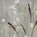 plakat-field-of-grasses-ii-polne-kwiaty-i-trawy-akwarela-bm-plakat-fragment.webp