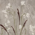 zestaw-2-plakatow-field-of-grasses-polne-kwiaty-i-trawy-akwarela-styl-boho-fragment.webp