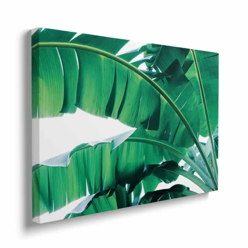 obraz-na -plotnie-instywne-rozlozyste-liscie-bok.webp