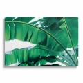 obraz-na -plotnie-instywne-rozlozyste-liscie-przod.webp