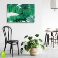 obraz-na -plotnie-instywne-rozlozyste-liscie-wnetrze.webp
