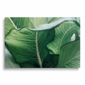 obraz-na -plotnie-soczyste-zielone-liscie-przod.webp