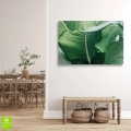 obraz-na -plotnie-soczyste-zielone-liscie-wnetrze.webp