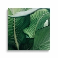 obraz-na -plotnie-soczyste-zielone-liscie-kwadrat.webp